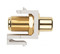 Hyperline Вставка формата Keystone Jack, F-type / RCA желтый (IN/OUT), gold plated, ROHS, белая - 57