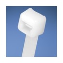 PANDUIT Неоткрывающаяся кабельная стяжка Pan-Ty® 8.9х530 мм (ШхД), широкая, нейлон 6.6, диаметр кабельного жгута 4.8-152 мм, цвет натуральный (100 шт.)