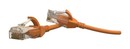 Hyperline Патч-корд U/UTP, категория 6 (100% Fluke Component Tested), 28AWG, LSZH, 1.5 м, оранжевый